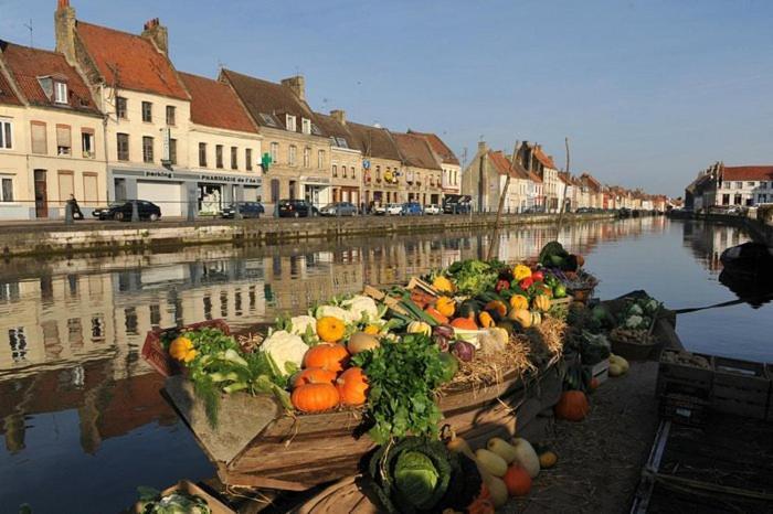 Bel Appart - Rez-De-Chaussee - Hyper Centre Saint-Omer  Esterno foto